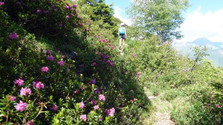 Partie via terminée, on rejoint le sommet par le sentier