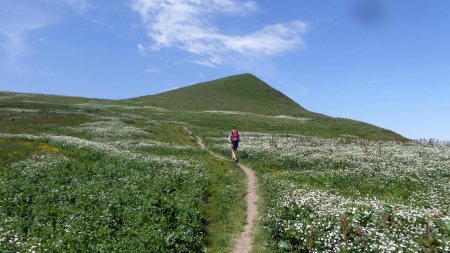 Montée vers la Grande Berge, devant, le belvédère