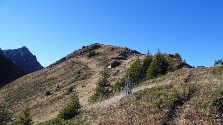 Descente, vue arrière