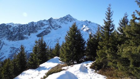 Montée au Plan du Col, vue arrière Bellacha