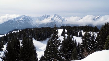 Belledonne