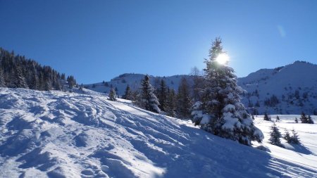 Départ de Super Collet