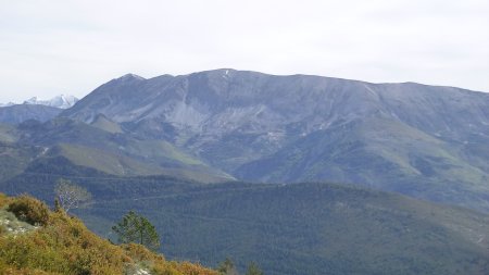 Cheval Blanc, Caduc et Mourre Gros (à gauche)