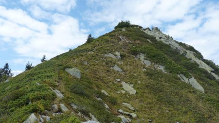 Début de la montée au petit Charnier