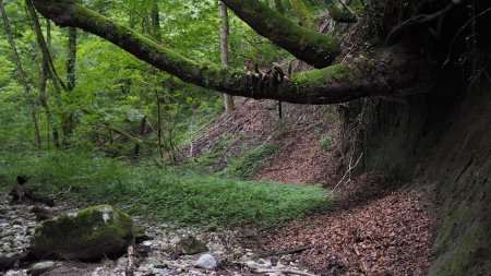 Arrivée dans la sombre vallée du Parnant.