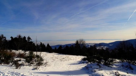 Alpes brumeuses.