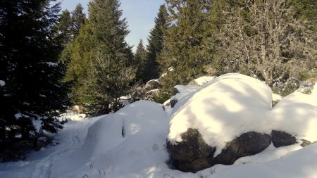 Petite variante de descente par un chaos rocheux.