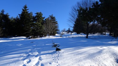 ...n’est pas très dense.