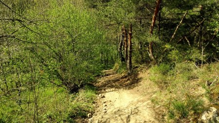 Descente dans la vallée de la Mare.