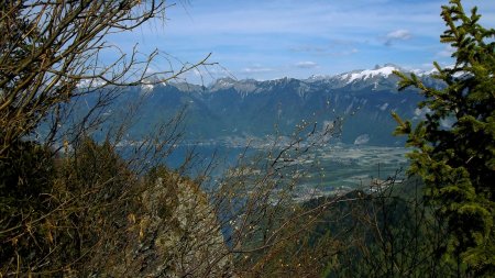 Le Léman se laisse peu à peu apercevoir.