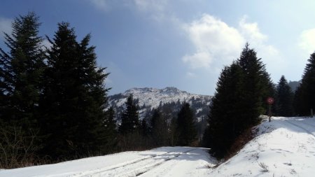 Jonction de pistes à la cote 1066m.