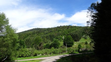 Les pentes de forestières de Pierre Pamole.