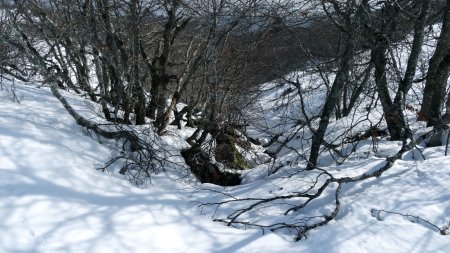 Le pont de neige est solide.