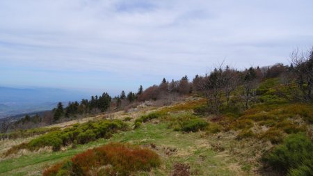 Quitter le sentier et rejoindre la ferme de Botte.