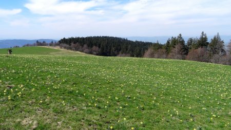 Prairies.