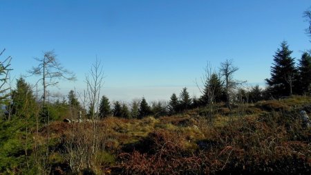 Vue vers les Alpes.