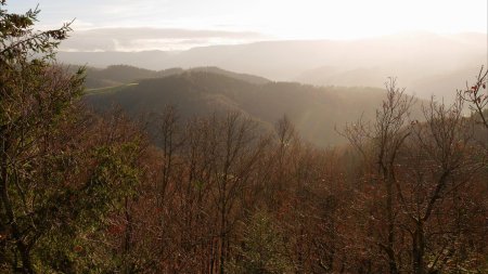 Traversée de la crête rocheuse (Sulzbacher Grat).