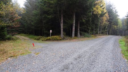 Nous laissons la piste forestière.