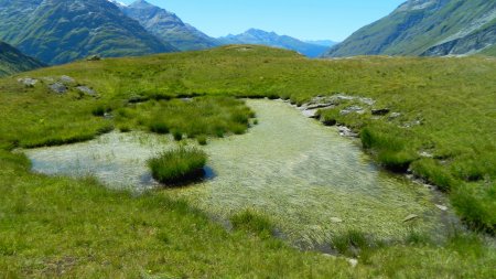 Laquet près des chalets d’Andagne.