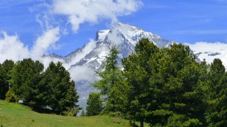 La Dent Parrachée vue de la piste