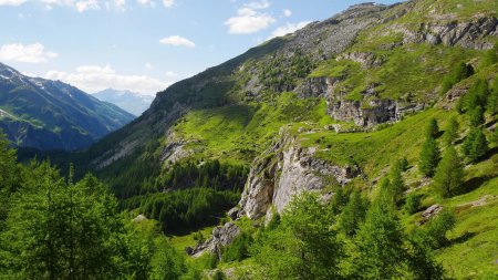 Une vue sur le chemin.