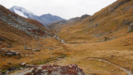 Descente le long du Nant du Lac Noir.