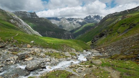 Un des nombreux petits ruisseaux qui alimentent le ruisseau du Pisset.