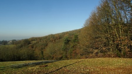 Arrivée vers un bois.