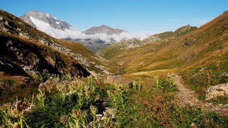 Montée vers le lac Noir, vue arrière.