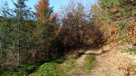 Ignorer un chemin à gauche.