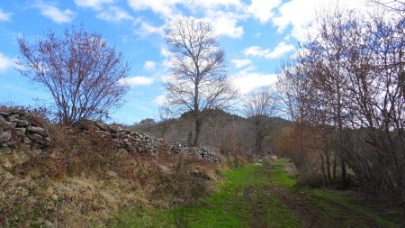 Le Neck de Queyrières apparaît sur la gauche.