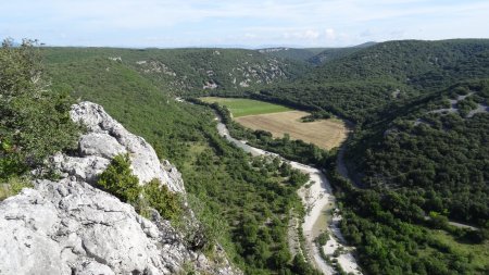 Sur le dos de la bête...