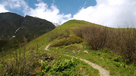 Montée finale sur une large crête convexe, en amont du Bois du Cinglo.