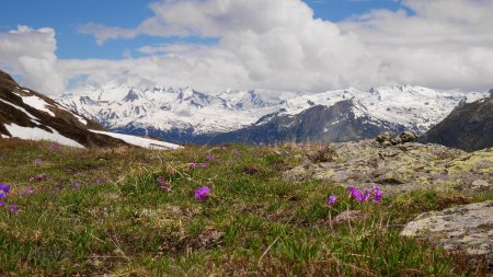 Vers le Beaufortain et le massif du Mont-Blanc (dans les nuages).