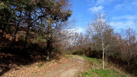 Un peu plus de lumière après Les Trèves.