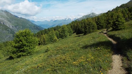 Sentier balcon, vue arrière.