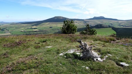 Pas de cairn au sommet mais une racine.