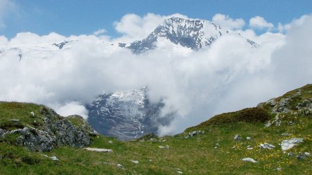 Mont Pourri vu des Monts.