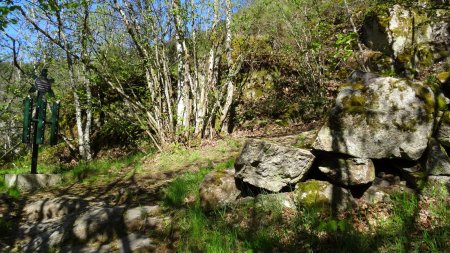 Sur le Sentier de la Tortue.