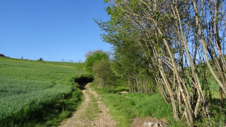 En remontant les coteaux de la Déome.