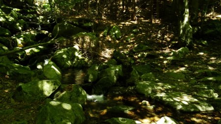 Traversée du Ruisseau des Granges de Sausses.