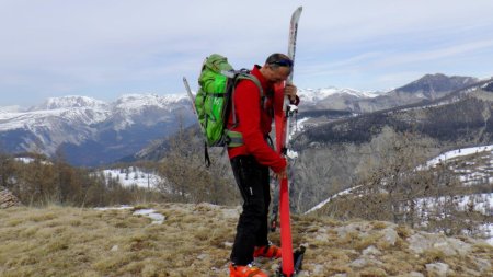 Dépeautage au Courradour