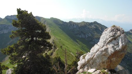 Dans la montée