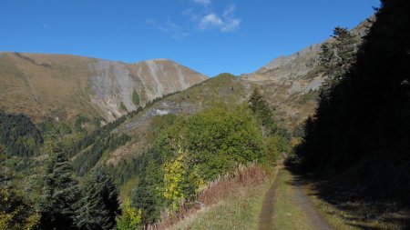 Dans la descente