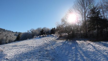 Au départ des Signaraux