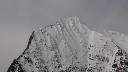 Antécime du Grand Armet