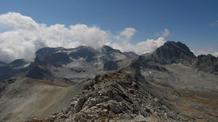 Chouette panorama