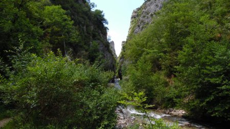 Vers la Cascade Verte