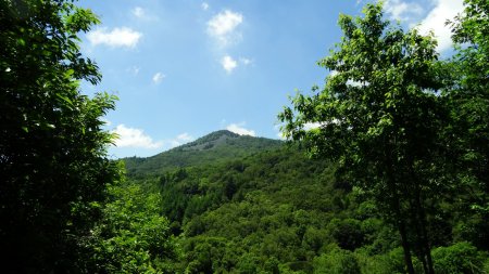 Crêt de Saint-Sabin.