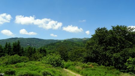 Vers le Crêt de l’Œillon.